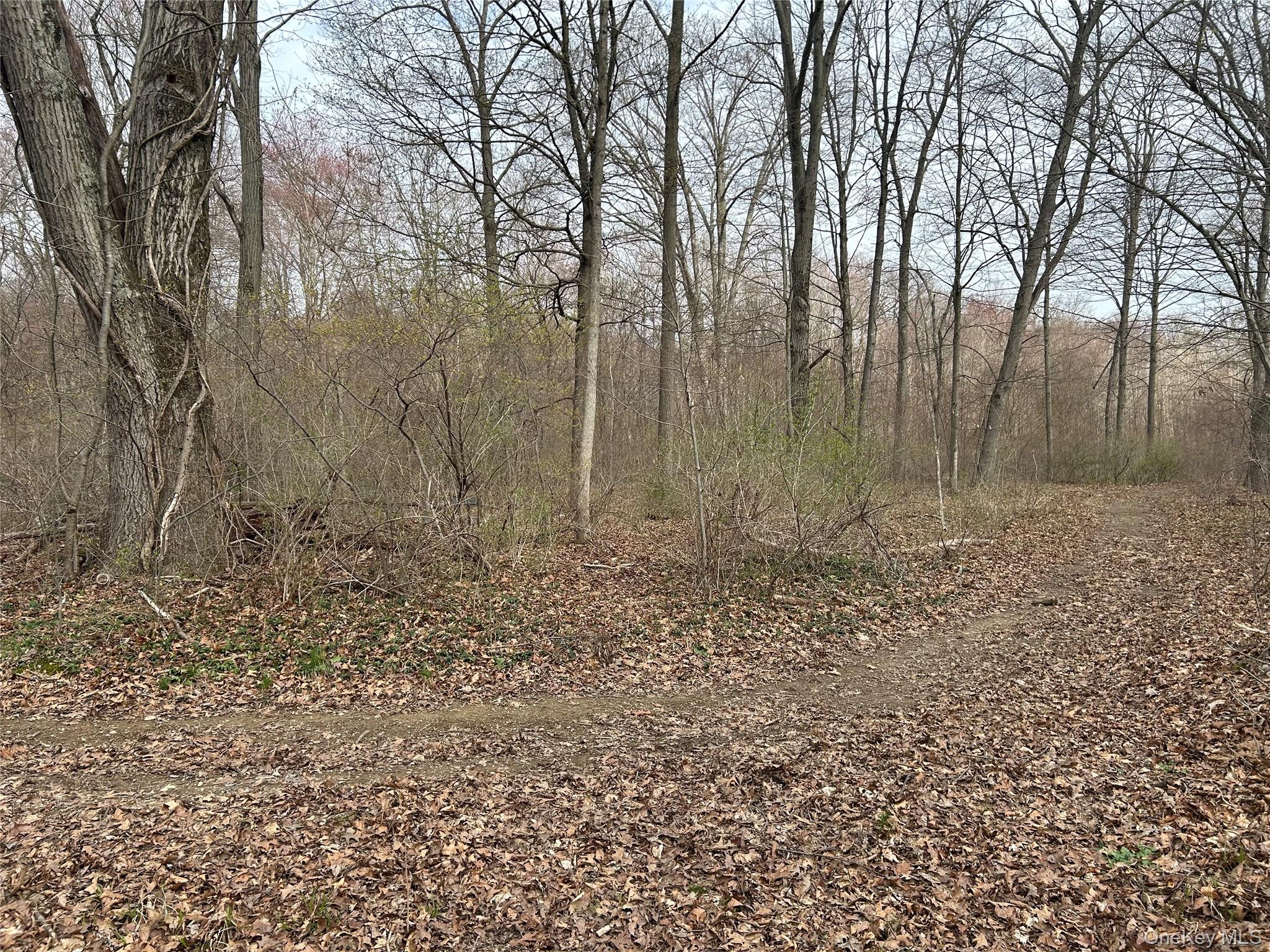 67 North Jackson Road Poughkeepsie, NY 12603 - Photo 8 of 16 a view of backyard with green space