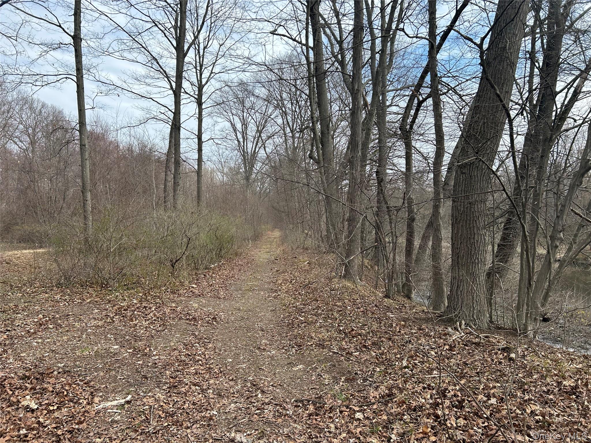 67 North Jackson Road Poughkeepsie, NY 12603 - Photo 9 of 16 a backyard of a house with lots of green space