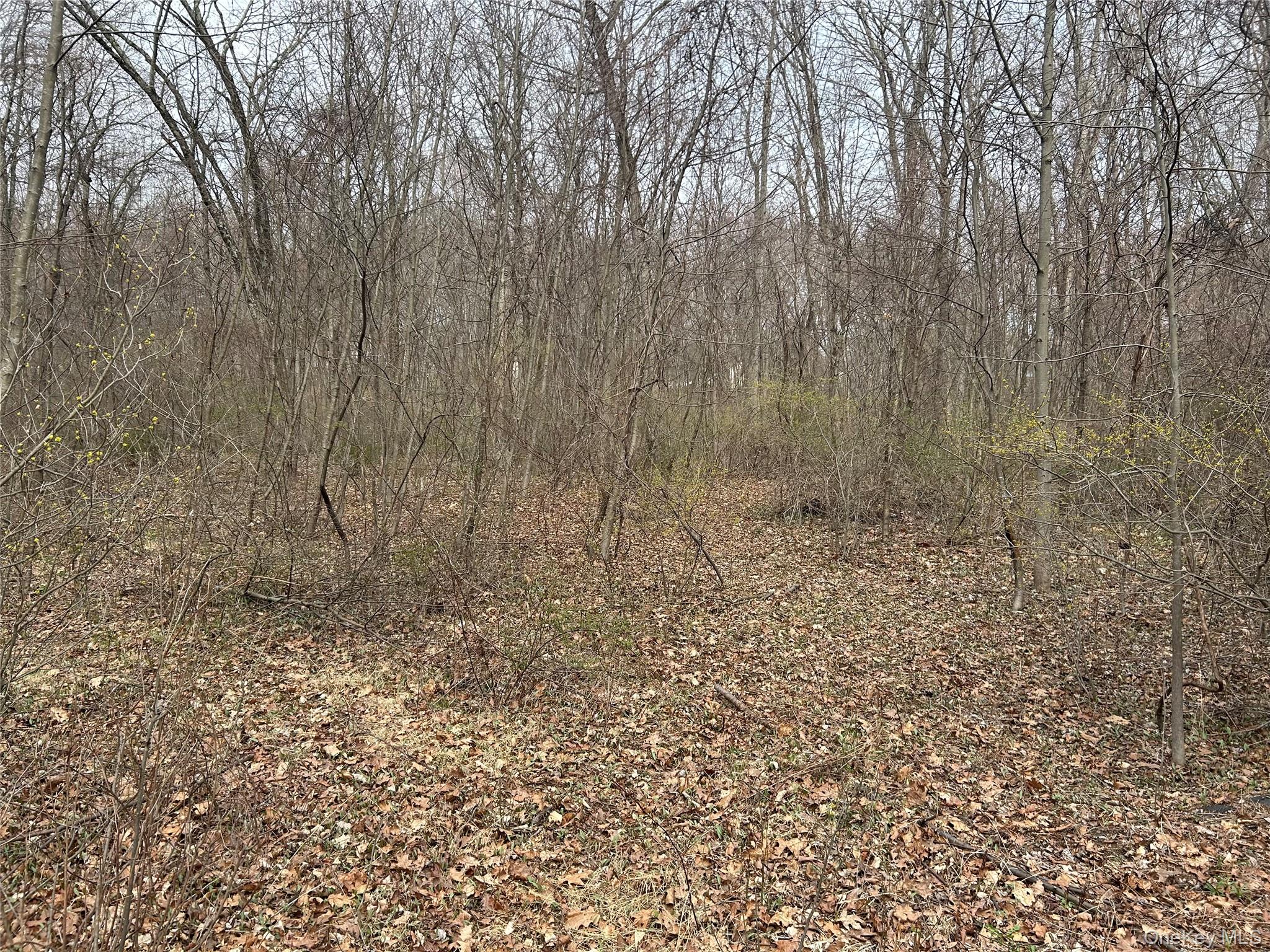 67 North Jackson Road Poughkeepsie, NY 12603 - Photo 10 of 16 a view of small space with trees