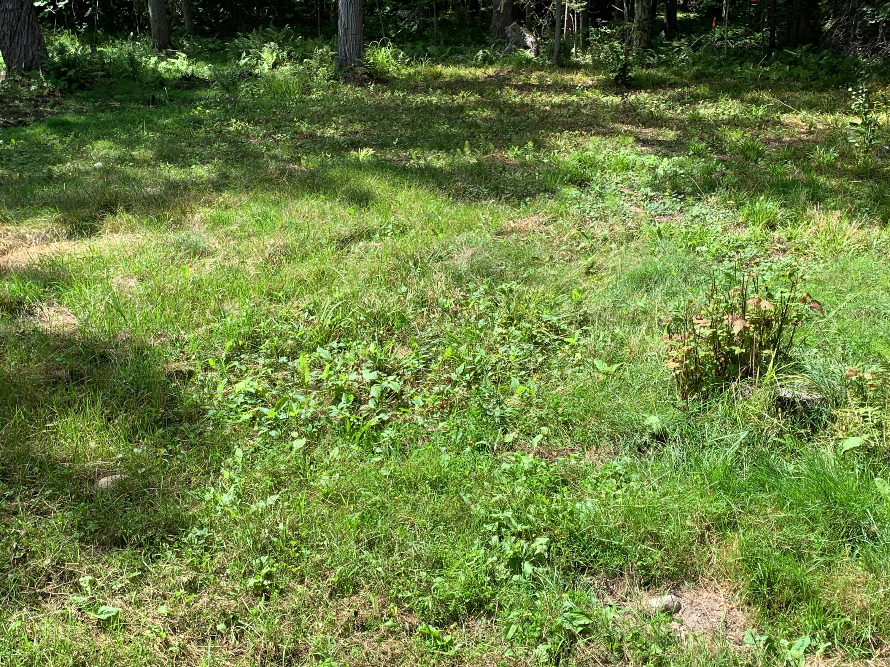 13792 South Cottage Road Barbeau, MI 49710 - Photo 19 of 38 Gallery Image 19