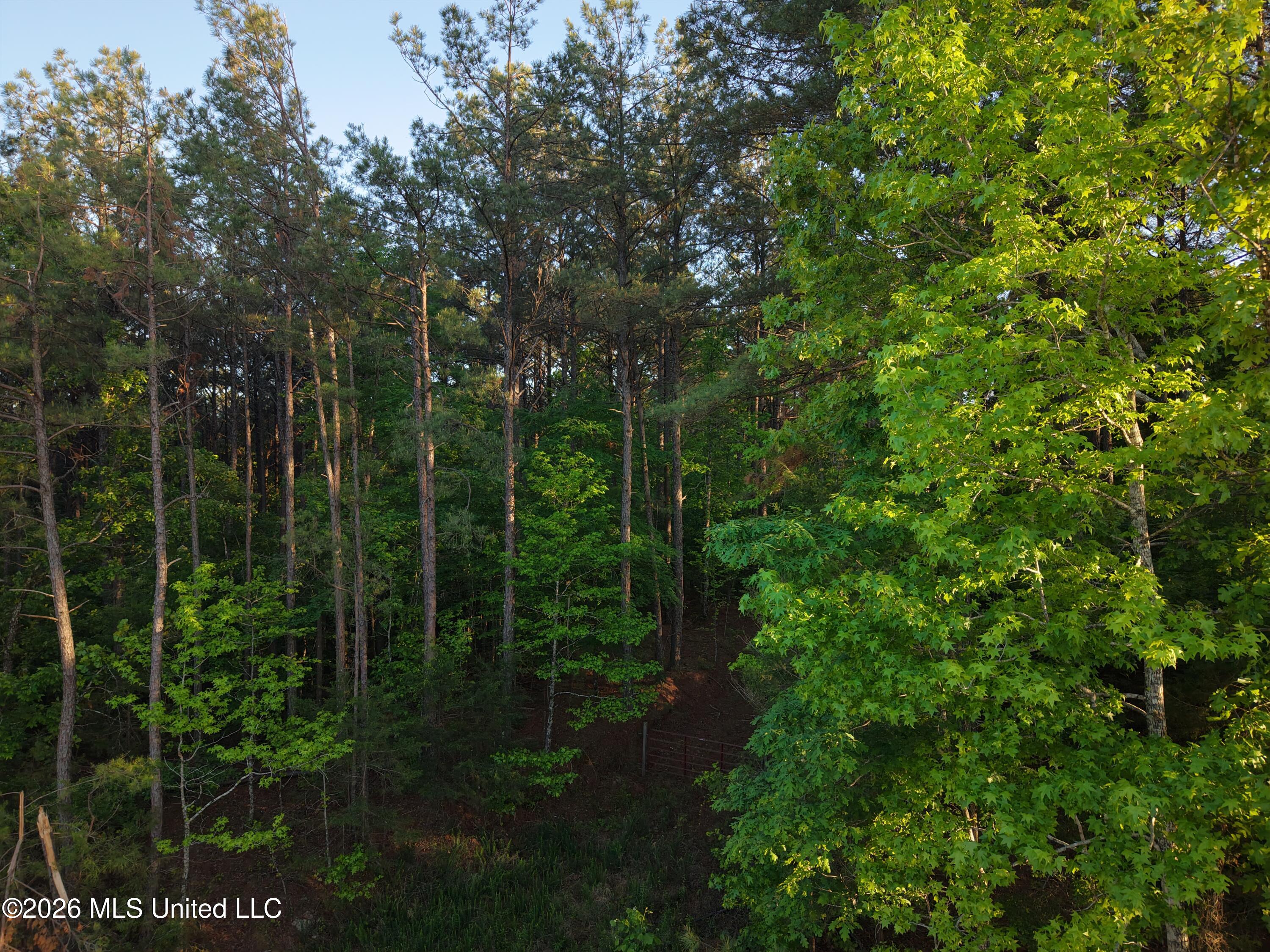 Stewart Weir Road Stewart, MS 39767 - Photo 28 of 28 42.5 Choctaw 2