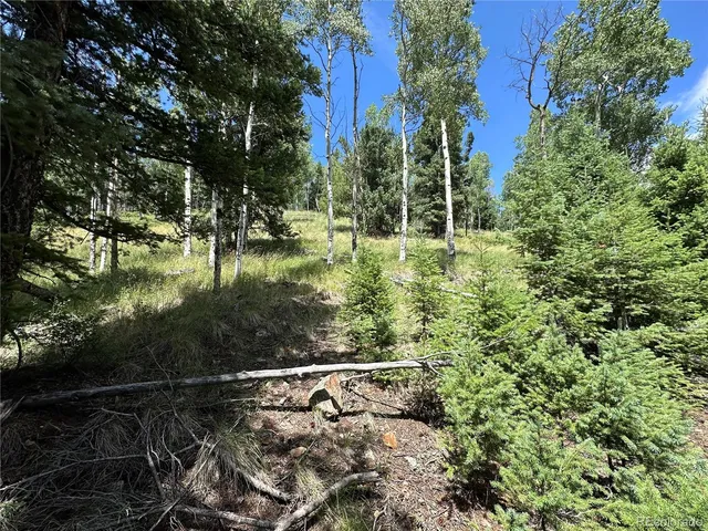 a view of outdoor space and garden