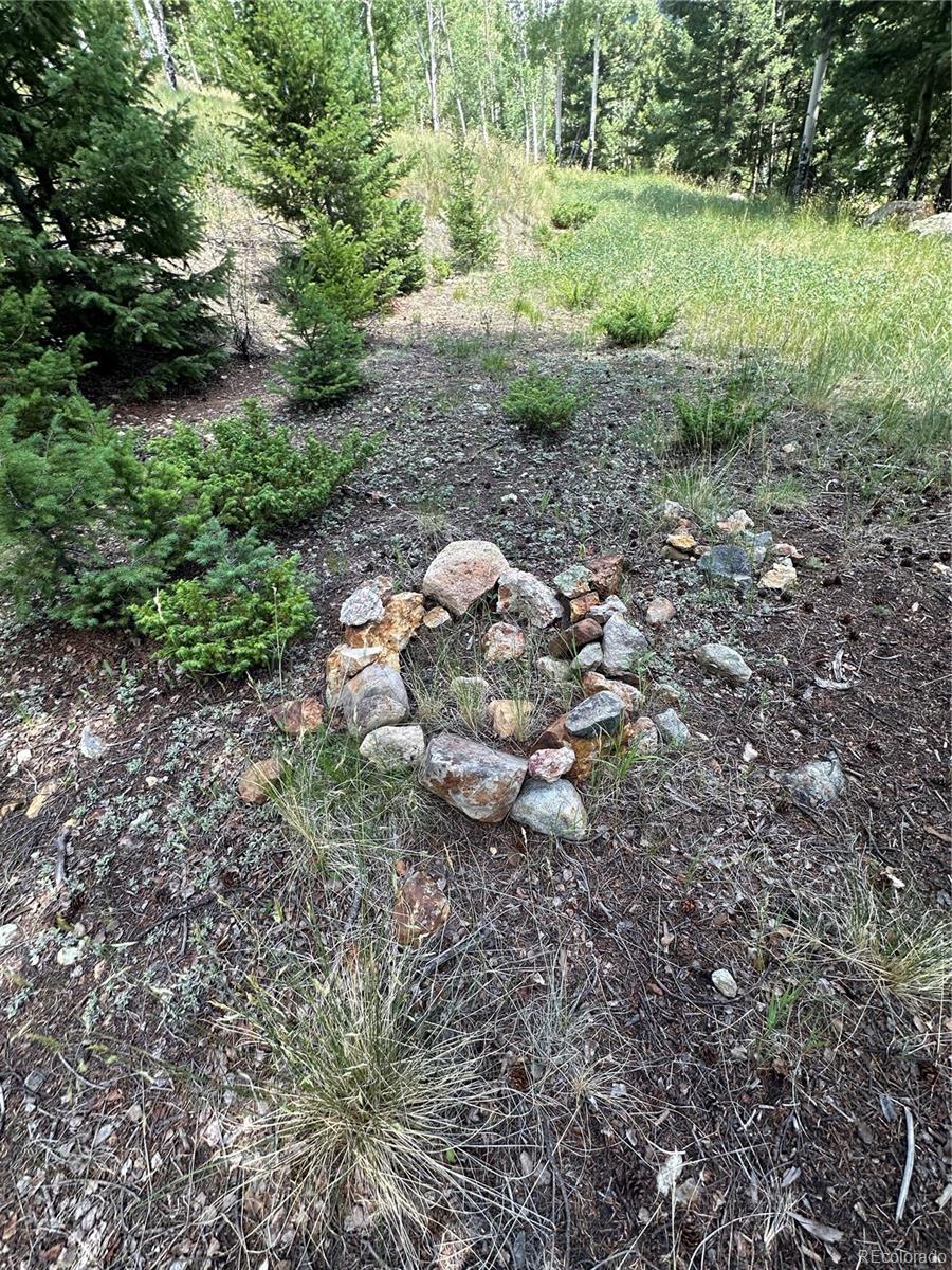 Tbd Calkins Del Norte, CO 81132 - Photo 4 of 10 a view of a large yard with lots of green space