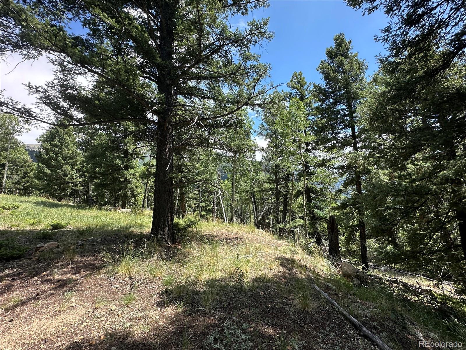 Tbd Calkins Del Norte, CO 81132 - Photo 5 of 10 a view of outdoor space and a yard