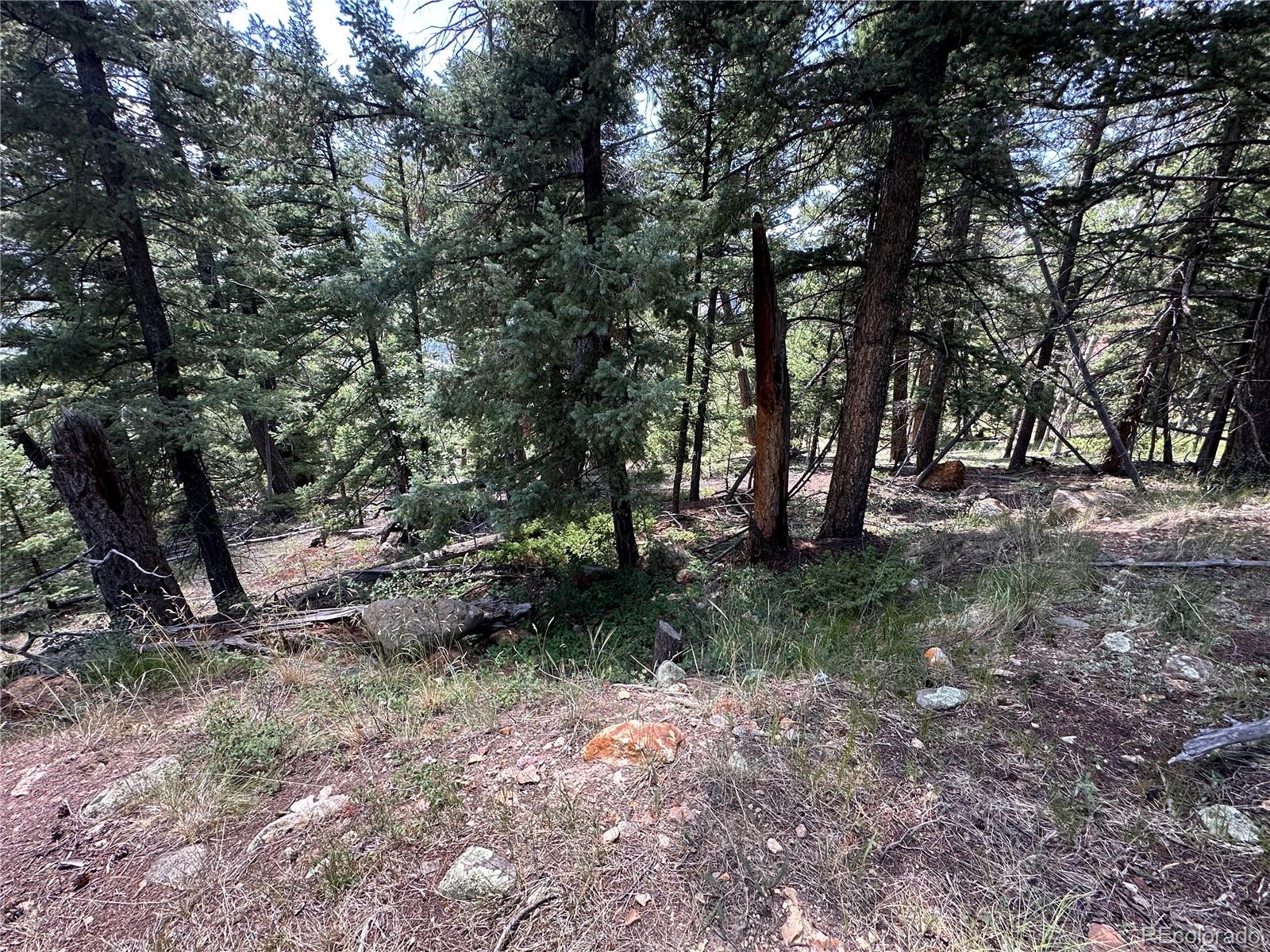 Tbd Calkins Del Norte, CO 81132 - Photo 8 of 10 a view of outdoor space with trees