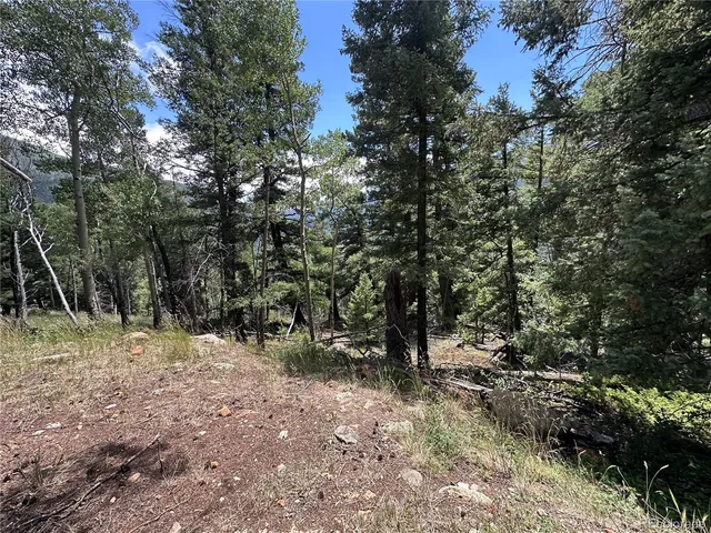 a view of outdoor space with trees