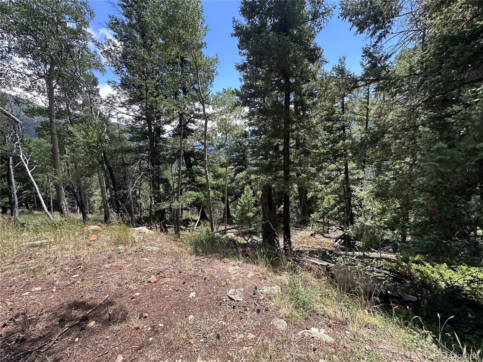 Tbd Calkins Del Norte, CO 81132 - Photo 9 of 10 a view of outdoor space with trees