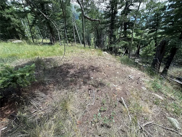 a big yard with lots of green space and deers