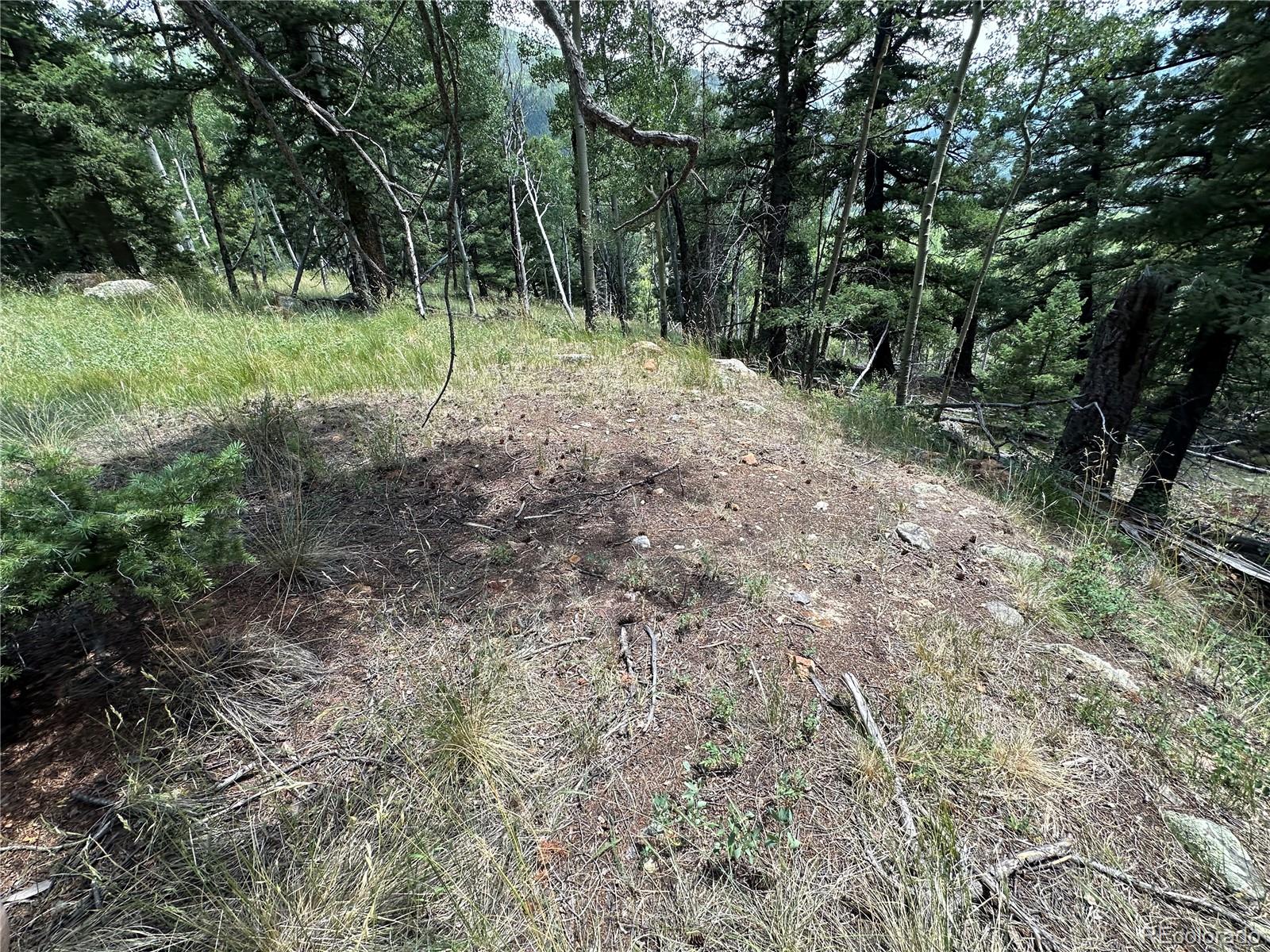 Tbd Calkins Del Norte, CO 81132 - Photo 10 of 10 a big yard with lots of green space and deers
