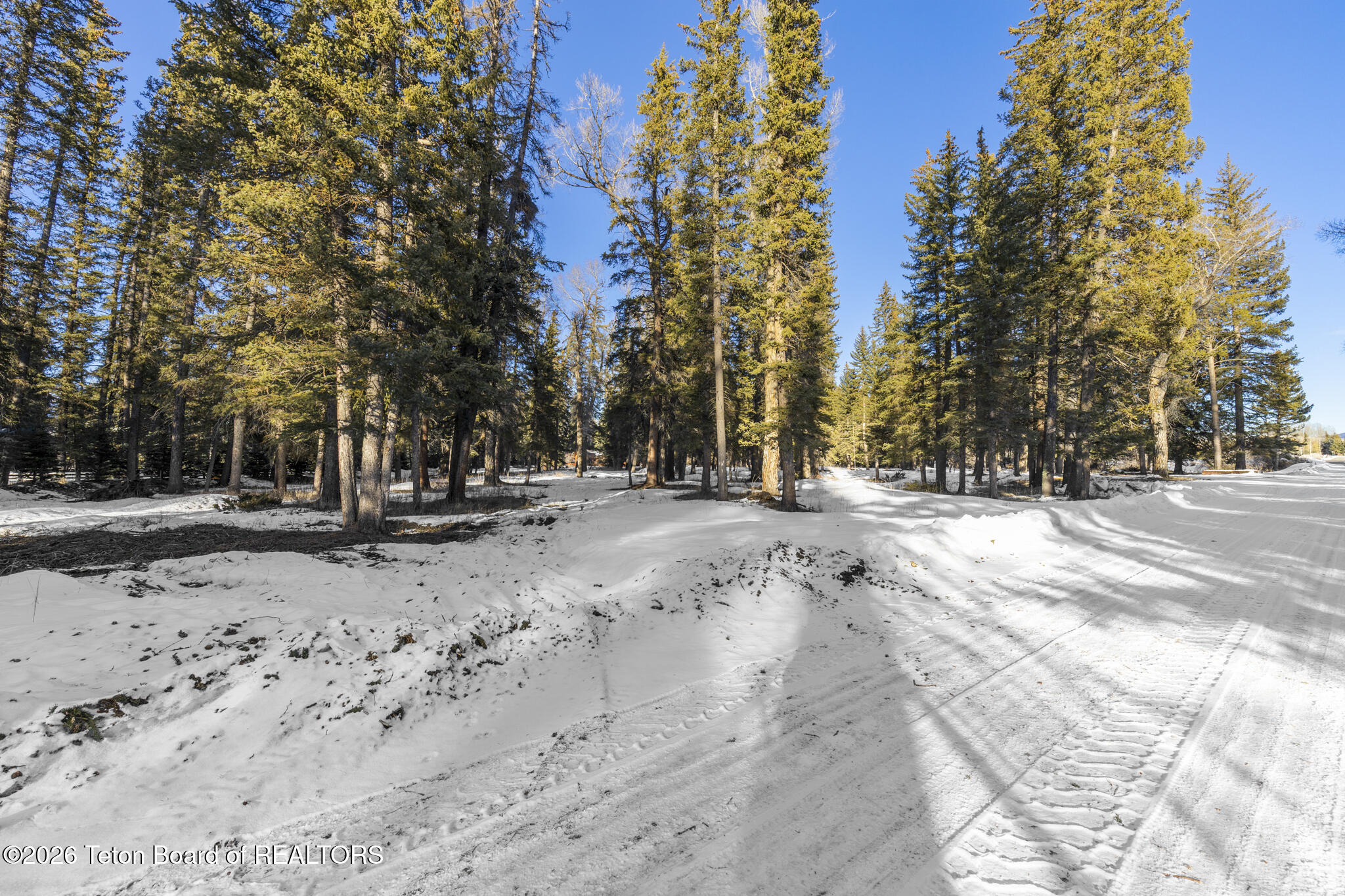 455 East Buck Mountain Road Jackson, WY 83001 - Photo 16 of 26 Lot