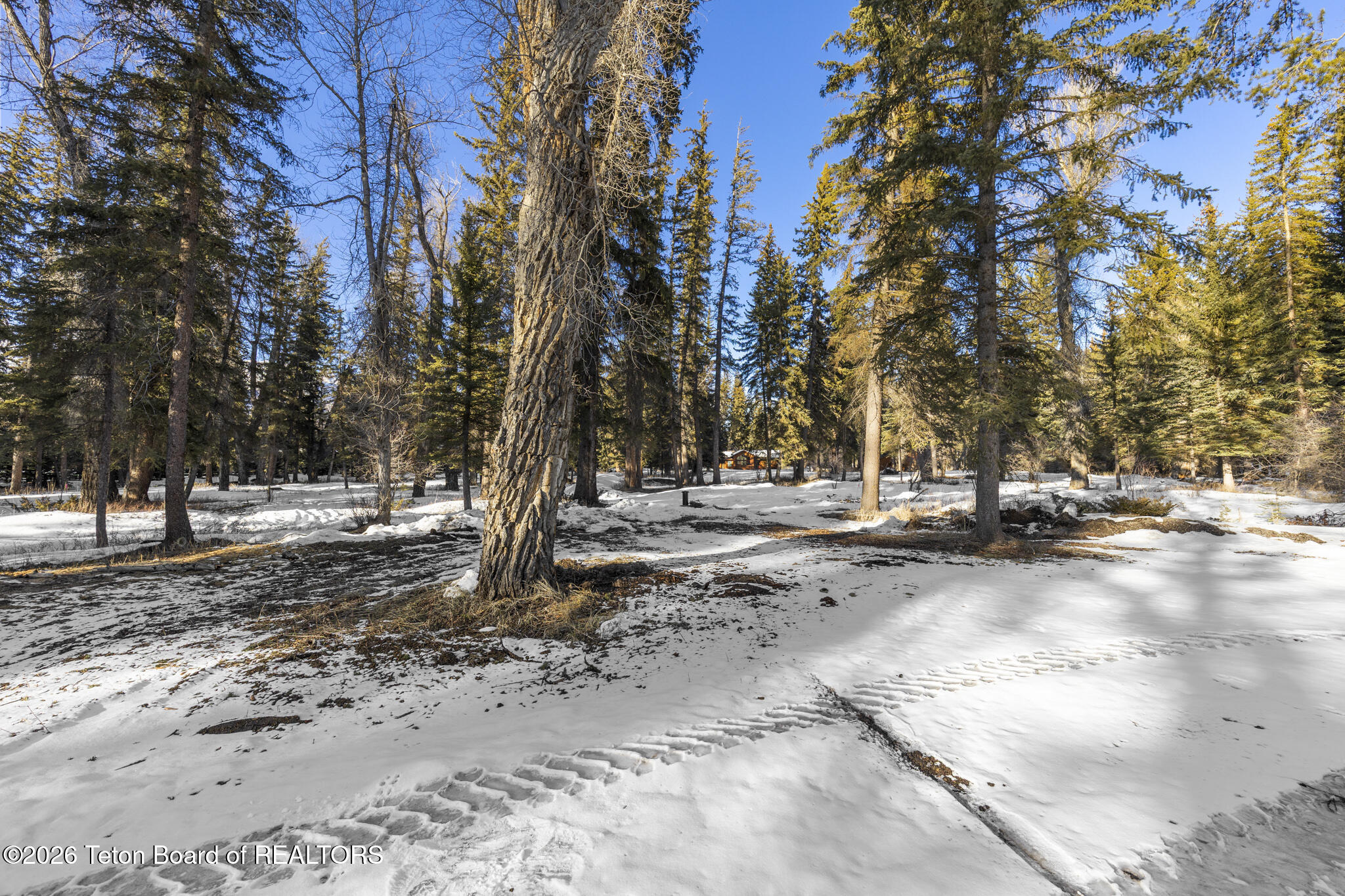455 East Buck Mountain Road Jackson, WY 83001 - Photo 17 of 26 Lot