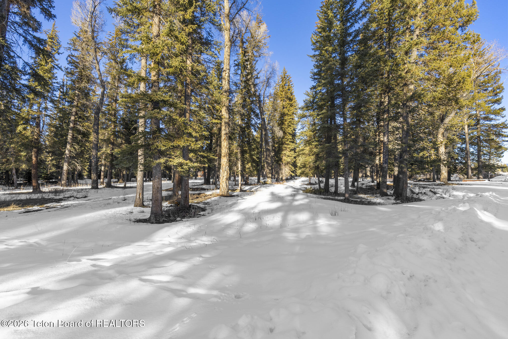 455 East Buck Mountain Road Jackson, WY 83001 - Photo 18 of 26 Lot