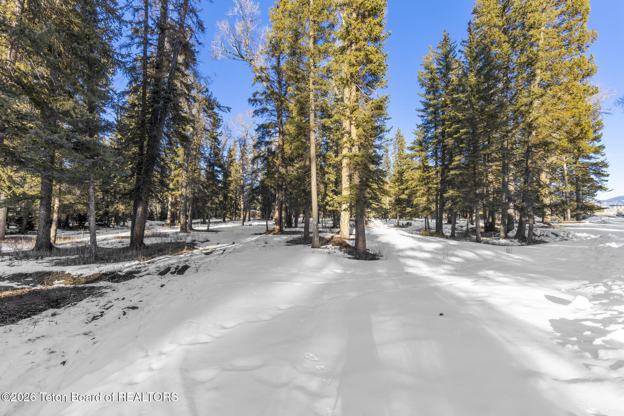 455 East Buck Mountain Road Jackson, WY 83001 - Photo 19 of 26 Lot