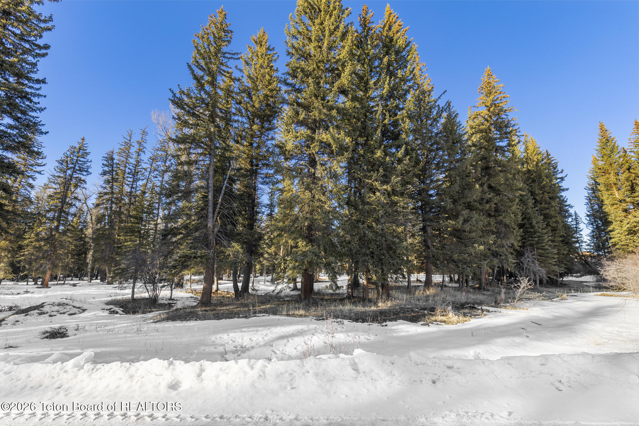 455 East Buck Mountain Road Jackson, WY 83001 - Photo 20 of 26 Lot