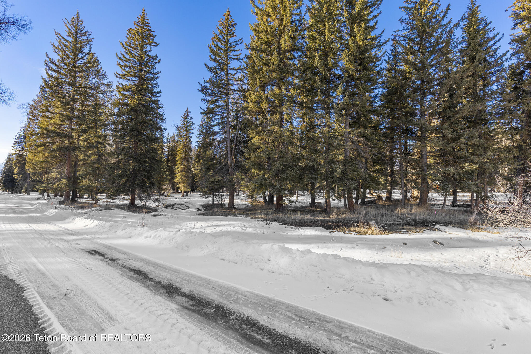 455 East Buck Mountain Road Jackson, WY 83001 - Photo 21 of 26 Lot