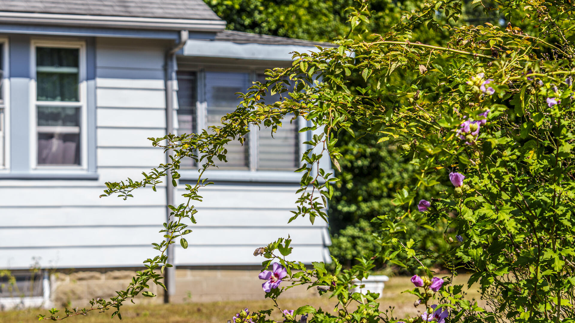 159 Cammett Road Marstons Mills, MA 02648 - Photo 6 of 22 159CammetMM-11