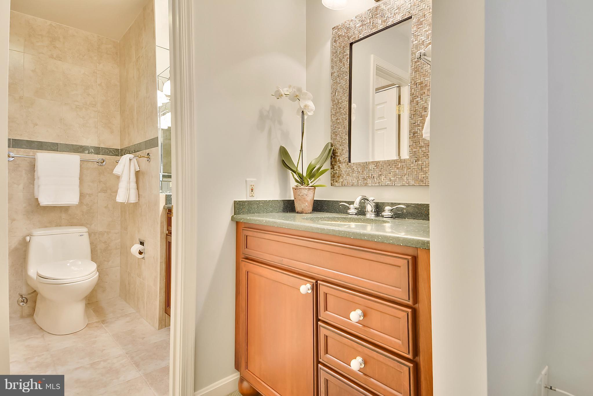 1125 Fairview Court Silver Spring, MD 20910 - Photo 13 of 30 Bath (Master)