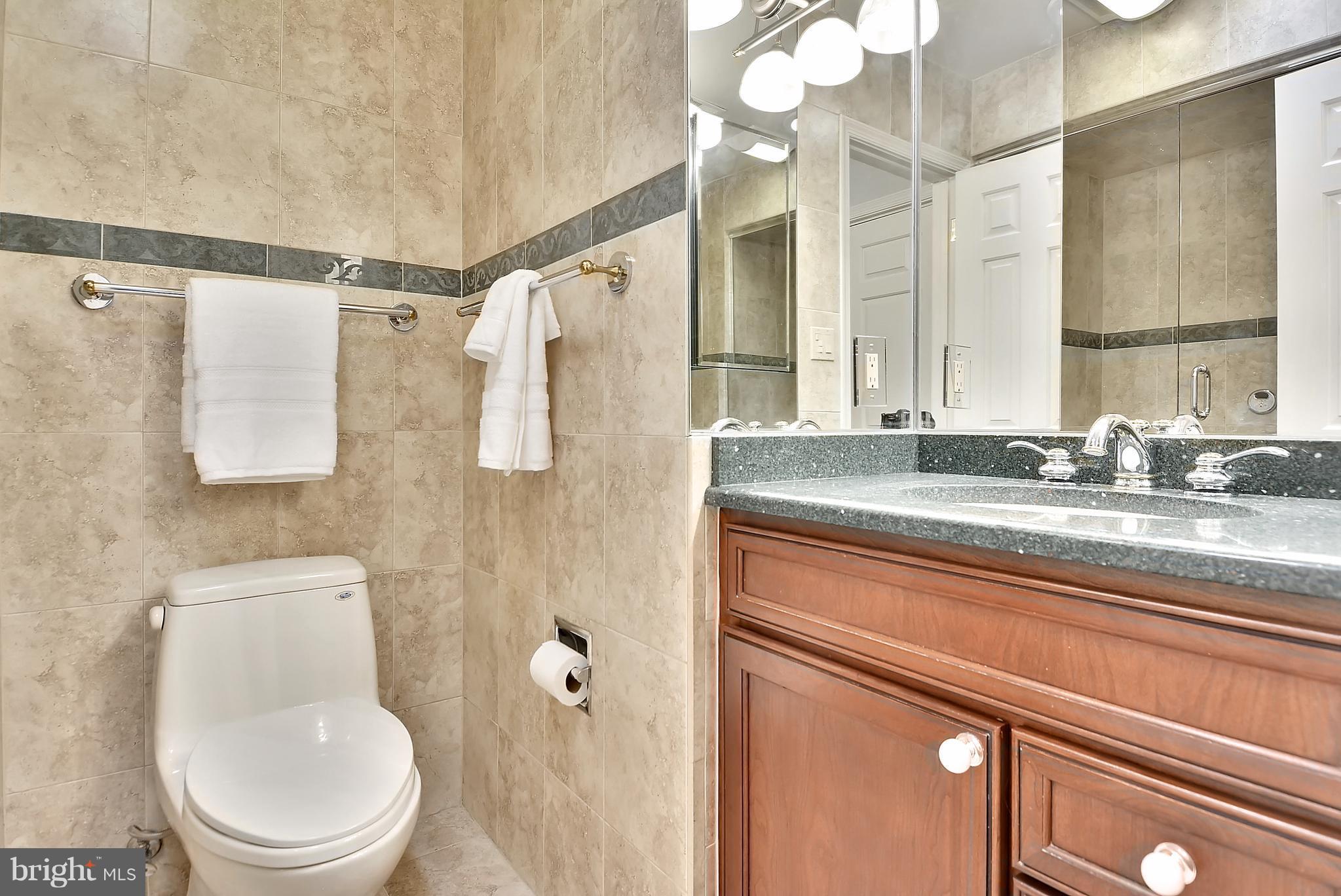 1125 Fairview Court Silver Spring, MD 20910 - Photo 14 of 30 Bath (Master)