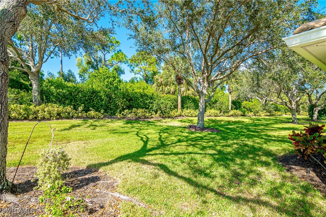 19642 Villa Rosa Loop Estero, FL 33967 - Photo 19 of 27 a view of yard with swimming pool