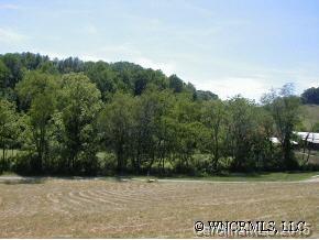 9999 Browntown Road Leicester, NC 28748 - Photo 1 of 4 Gallery Image 1