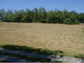 9999 Browntown Road Leicester, NC 28748 - Photo 3 of 4 Gallery Image 3