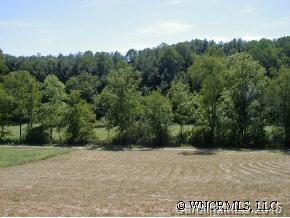 9999 Browntown Road Leicester, NC 28748 - Photo 4 of 4 Gallery Image 4