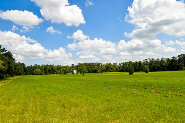 113 McVey Road Aiken, SC 29803 - Photo 12 of 39