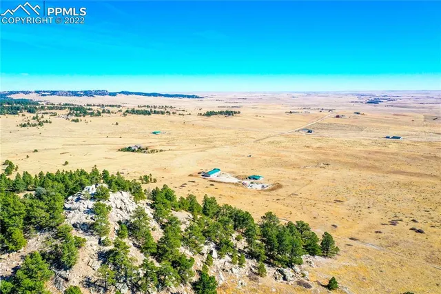 a room with a wooden floor and a bed