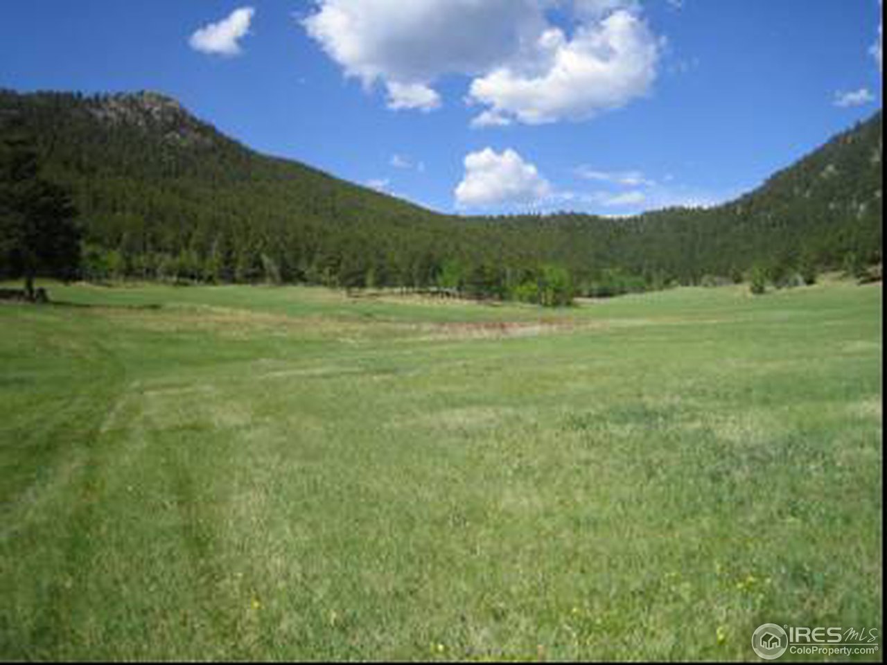14884 Rist Canyon Road Bellvue, CO 80512 - Photo 2 of 9