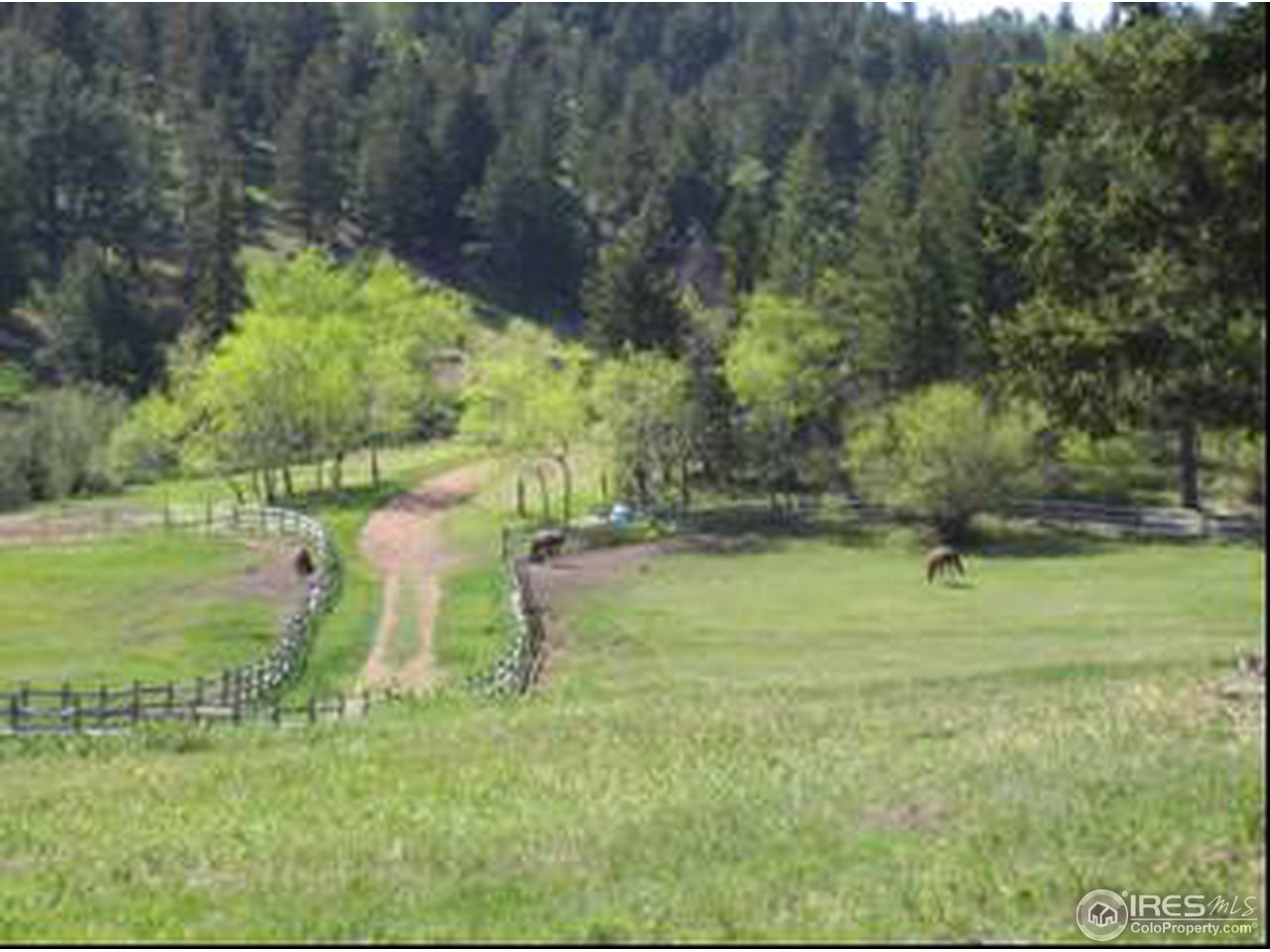 14884 Rist Canyon Road Bellvue, CO 80512 - Photo 3 of 9