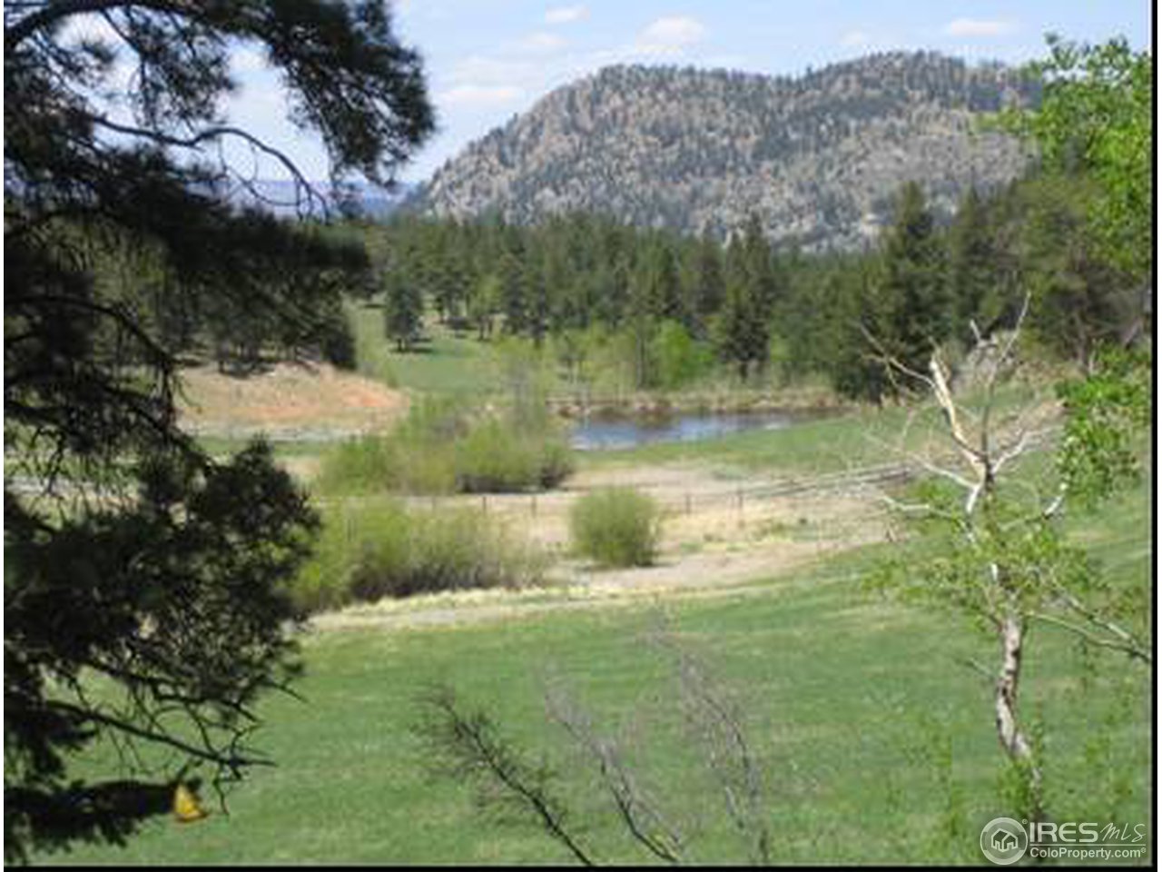 14884 Rist Canyon Road Bellvue, CO 80512 - Photo 9 of 9