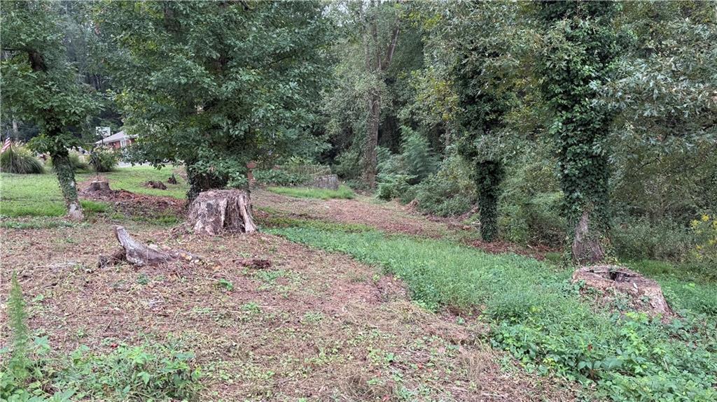 5165 Thompson Mill Road Lithonia, GA 30038 - Photo 14 of 14