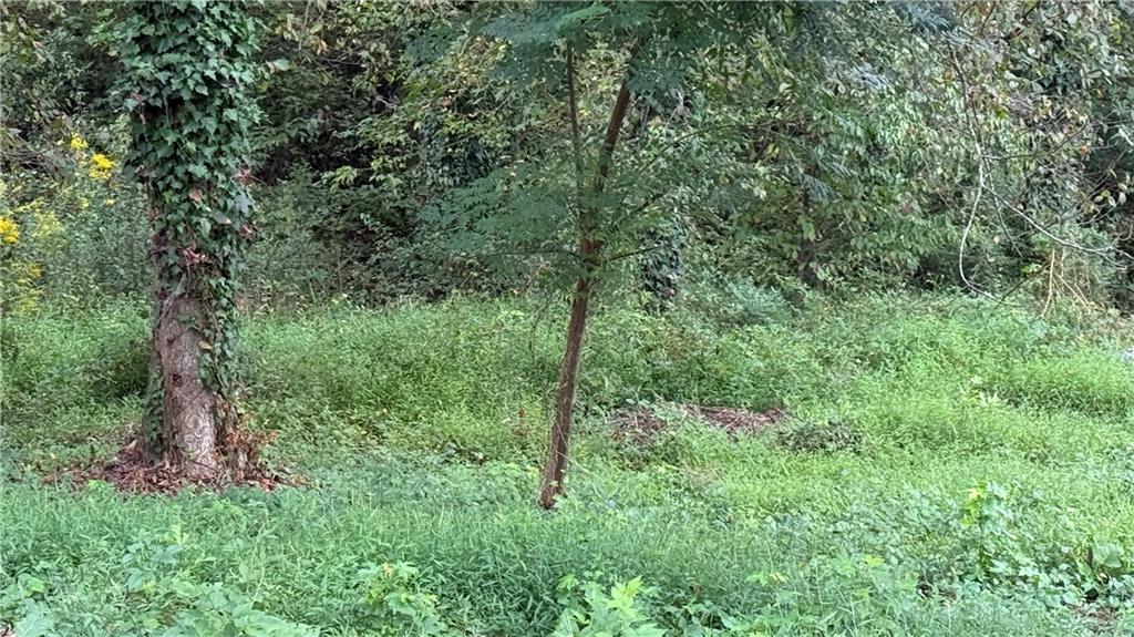 5165 Thompson Mill Road Lithonia, GA 30038 - Photo 5 of 14