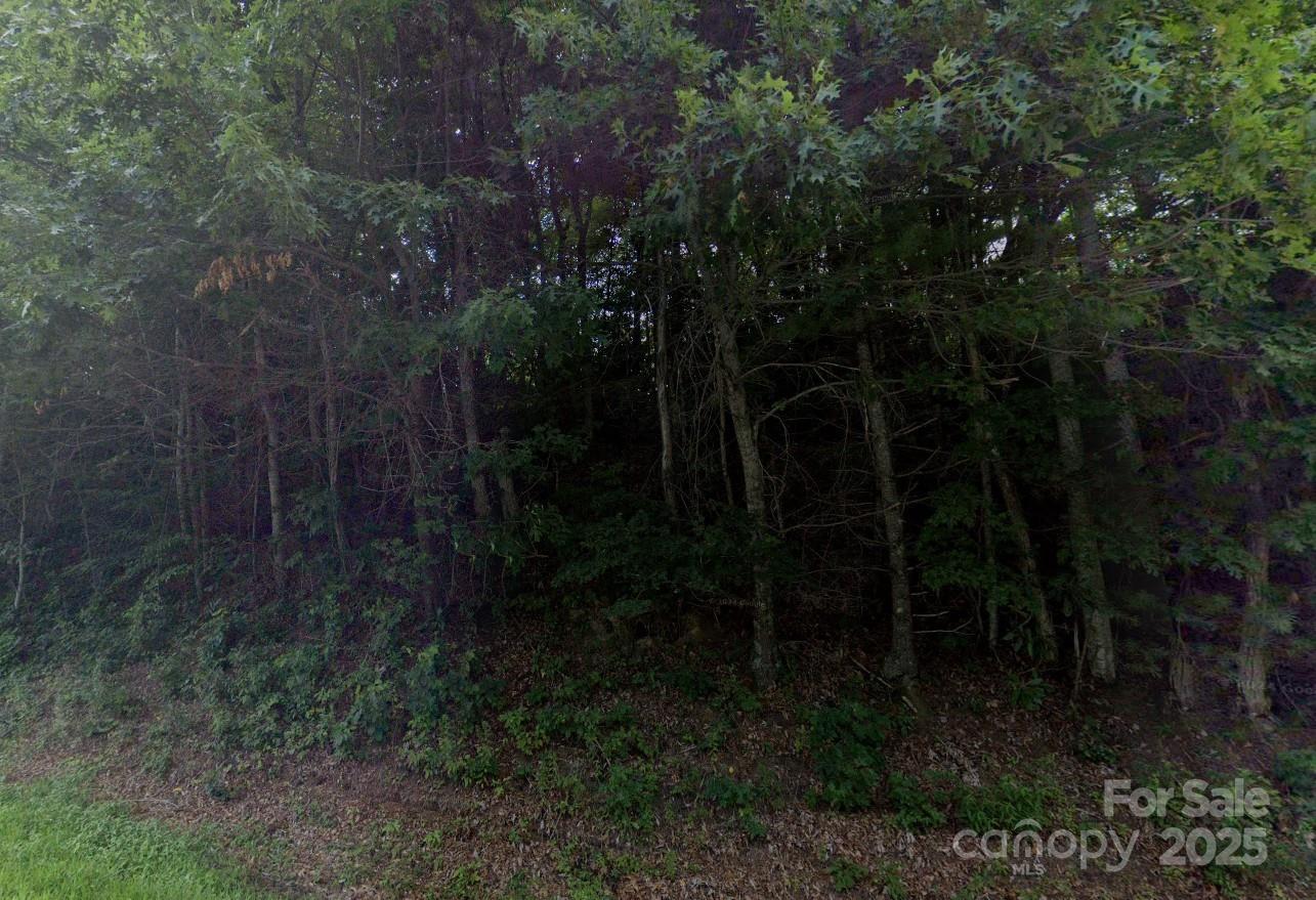 0 Nc 181 None None, Unit NONE Newland, NC 28657 - Photo 1 of 2