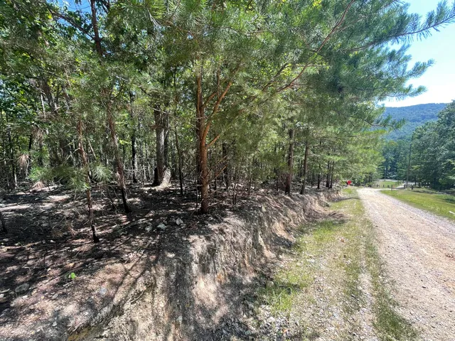 $20,000 | 0 Sloppy Floyd Lake Road, Summerville, GA 30747