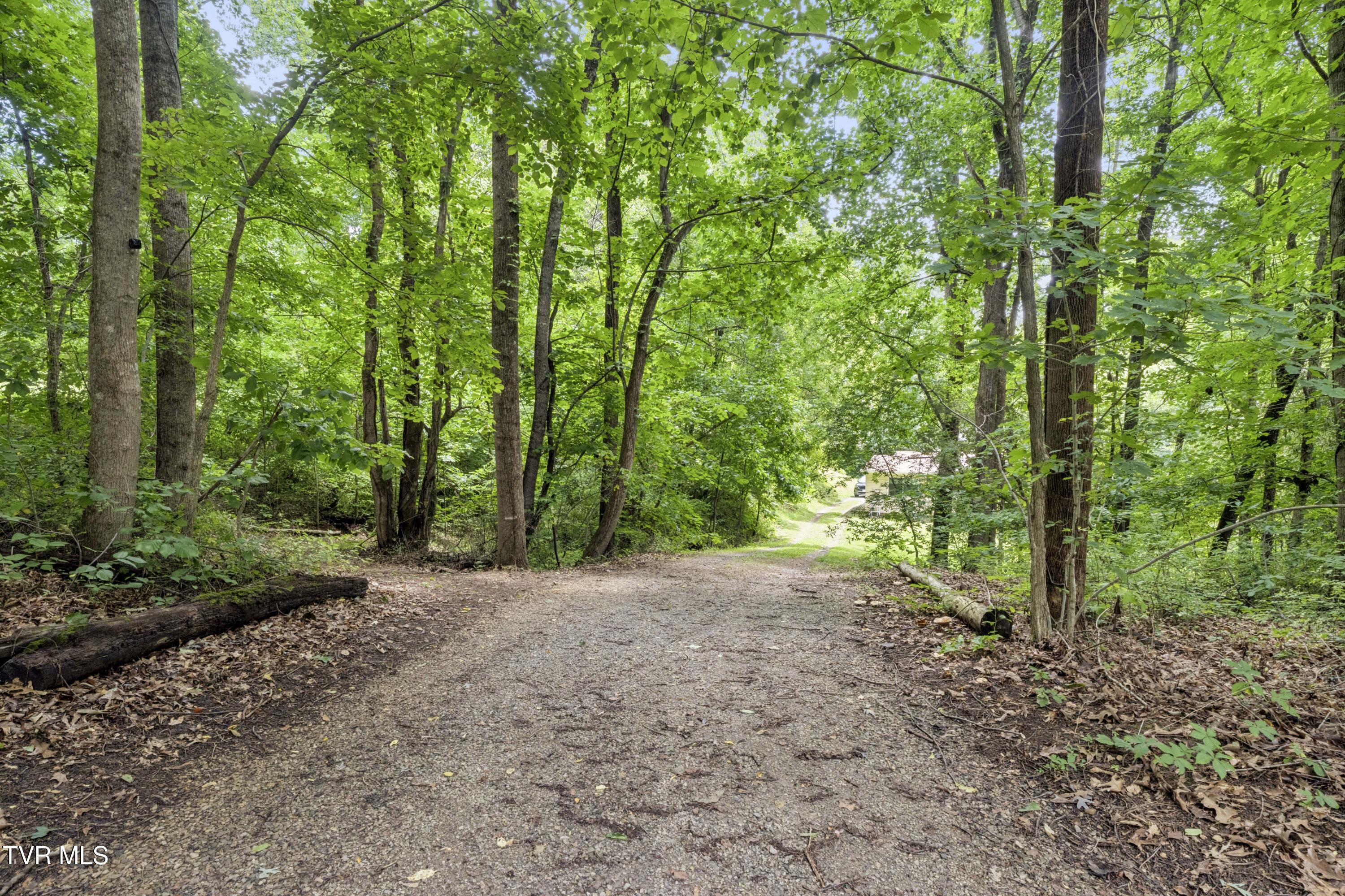 130 Valley Road Telford, TN 37690 - Photo 44 of 65 Valley-43
