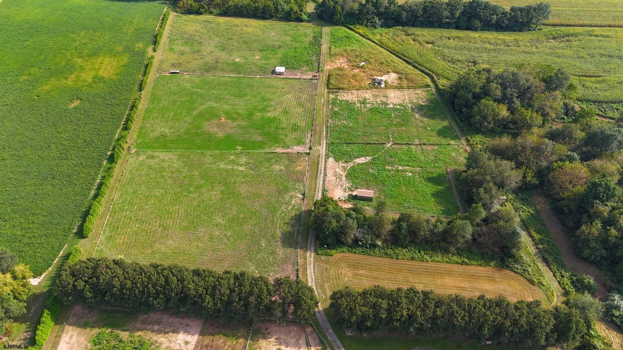308 Willis Road Bridgeton, NJ 08302 - Photo 3 of 38 a view of a yard