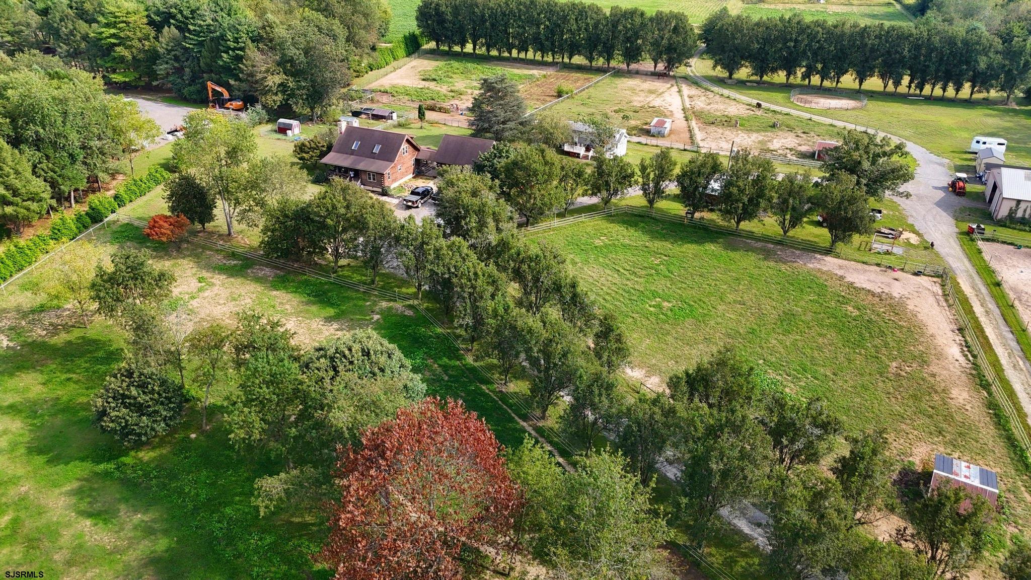 308 Willis Road Bridgeton, NJ 08302 - Photo 5 of 38 a view of a yard with plants and large trees