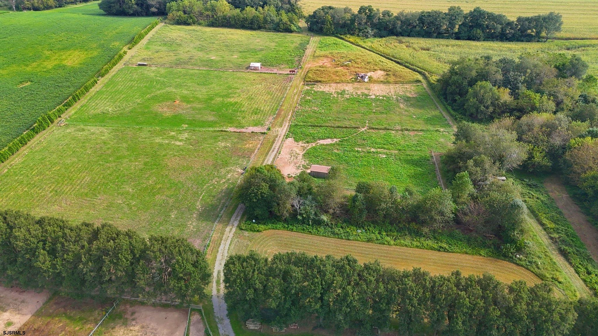 308 Willis Road Bridgeton, NJ 08302 - Photo 6 of 38 a view of a field with an outdoor space