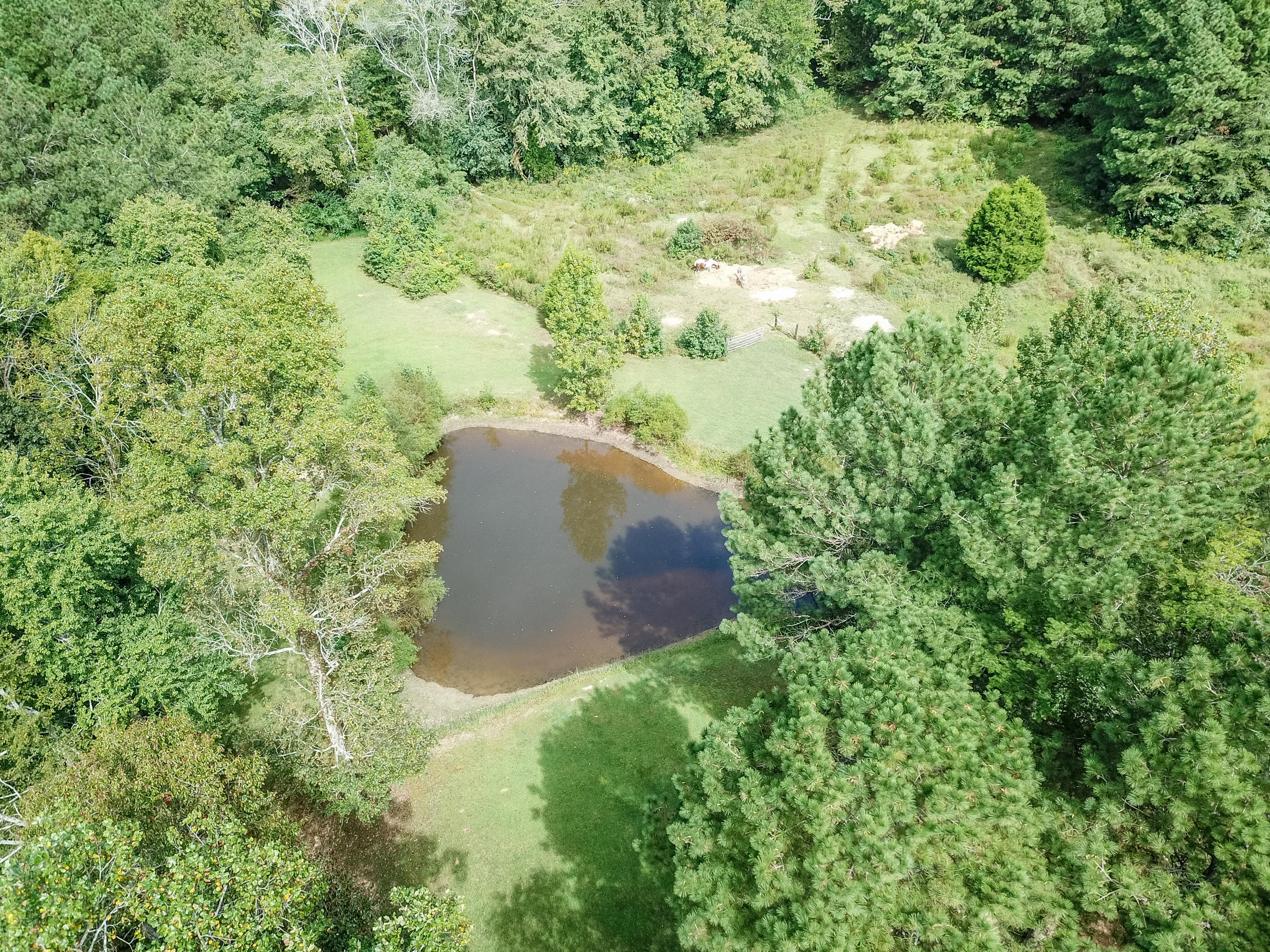 268 Homer Cagle Road LaFayette, GA 30728 - Photo 44 of 66 268 Homer Cagle Rd-46