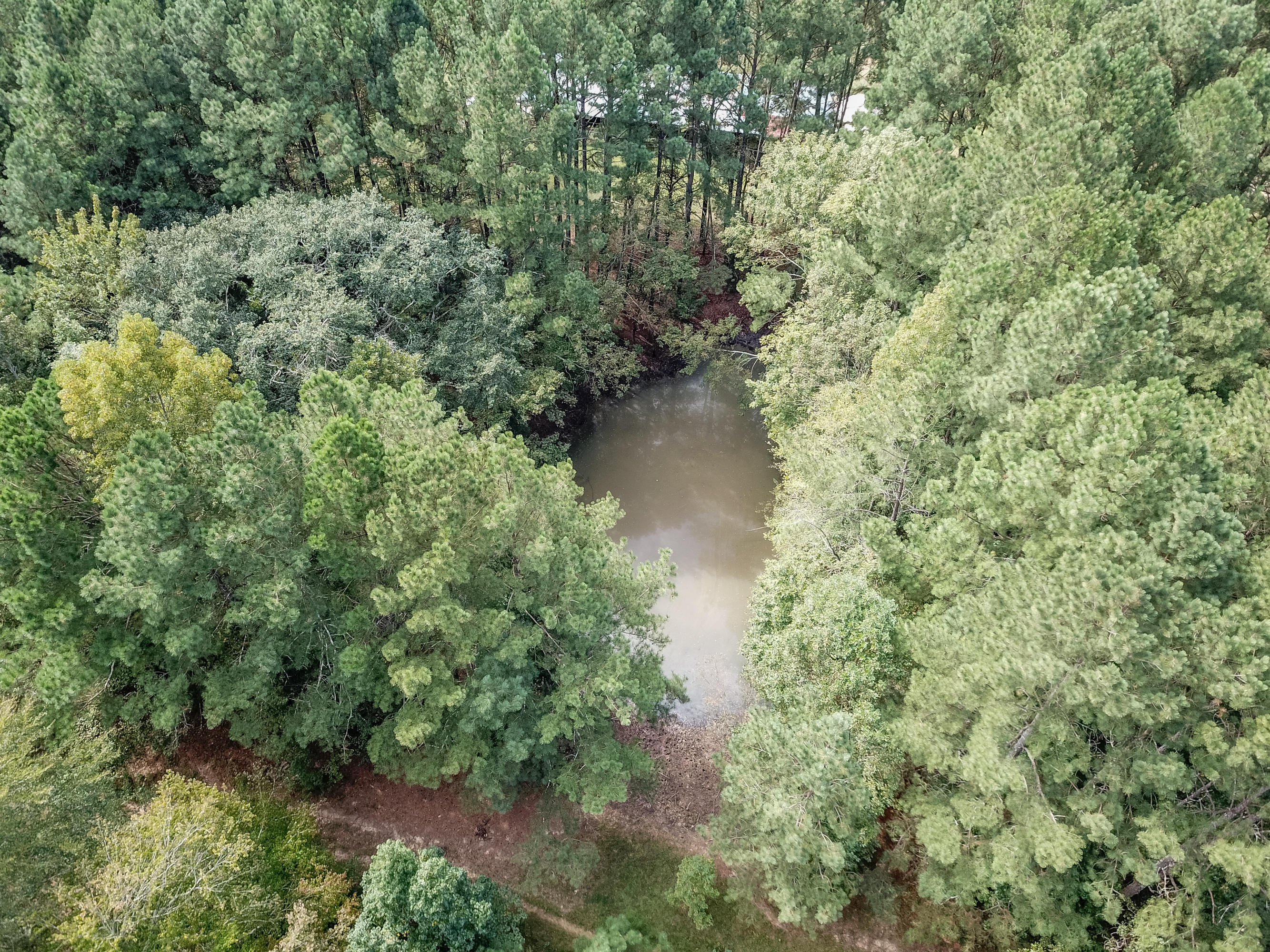 268 Homer Cagle Road LaFayette, GA 30728 - Photo 46 of 66 268 Homer Cagle Rd-48