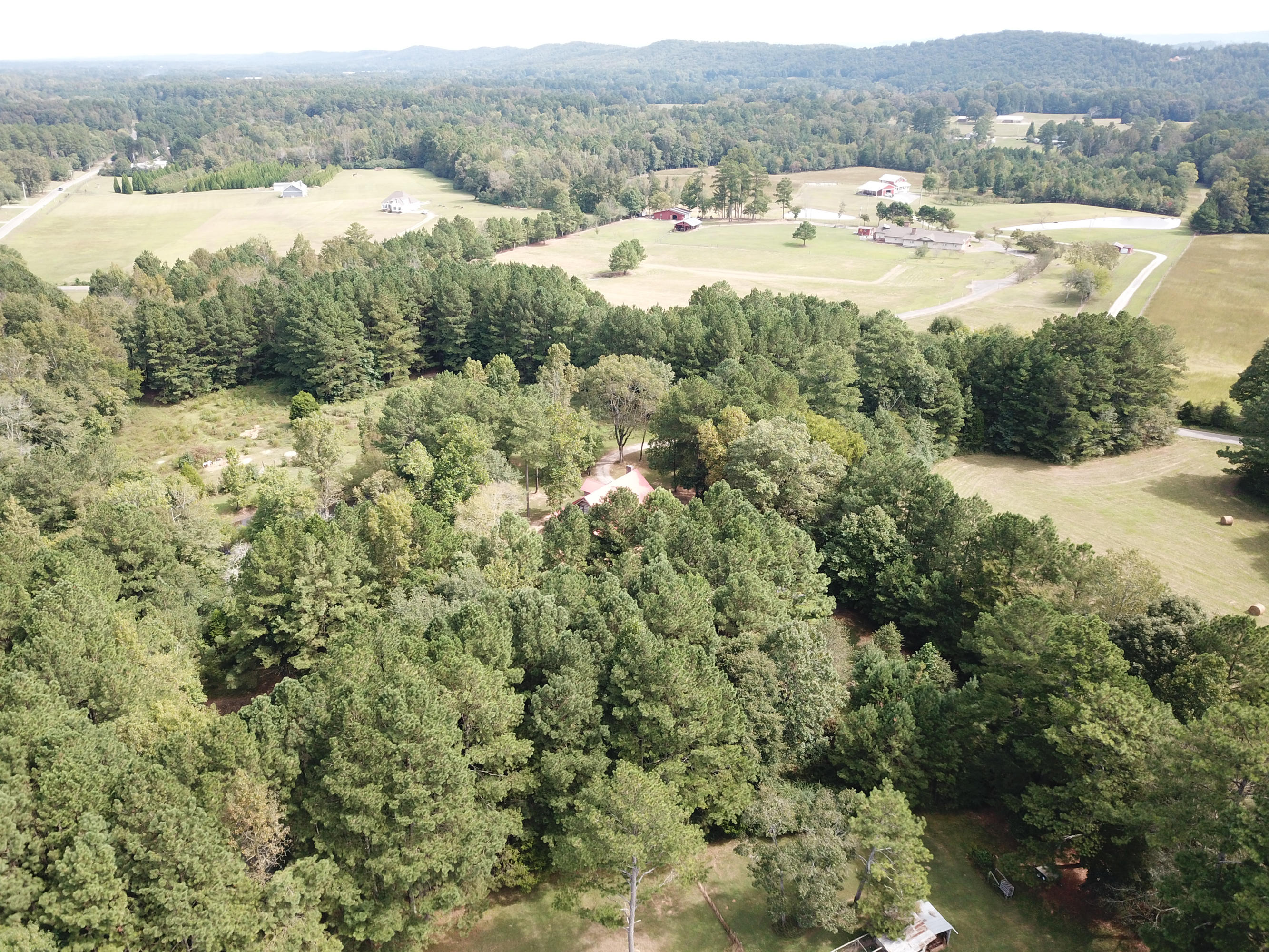 268 Homer Cagle Road LaFayette, GA 30728 - Photo 51 of 66 268 Homer Cagle Rd-53