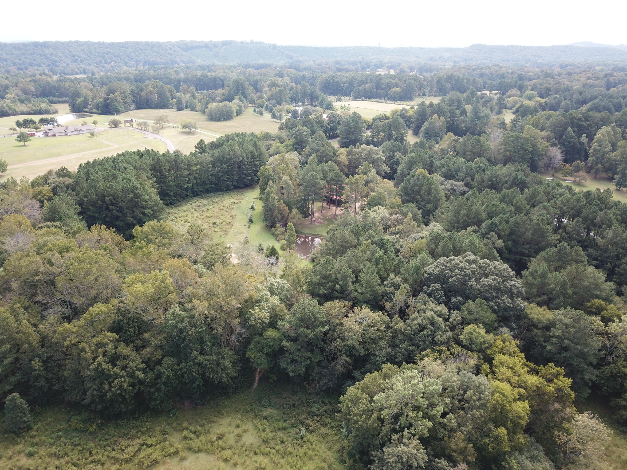 268 Homer Cagle Road LaFayette, GA 30728 - Photo 62 of 66 268 Homer Cagle Rd-64