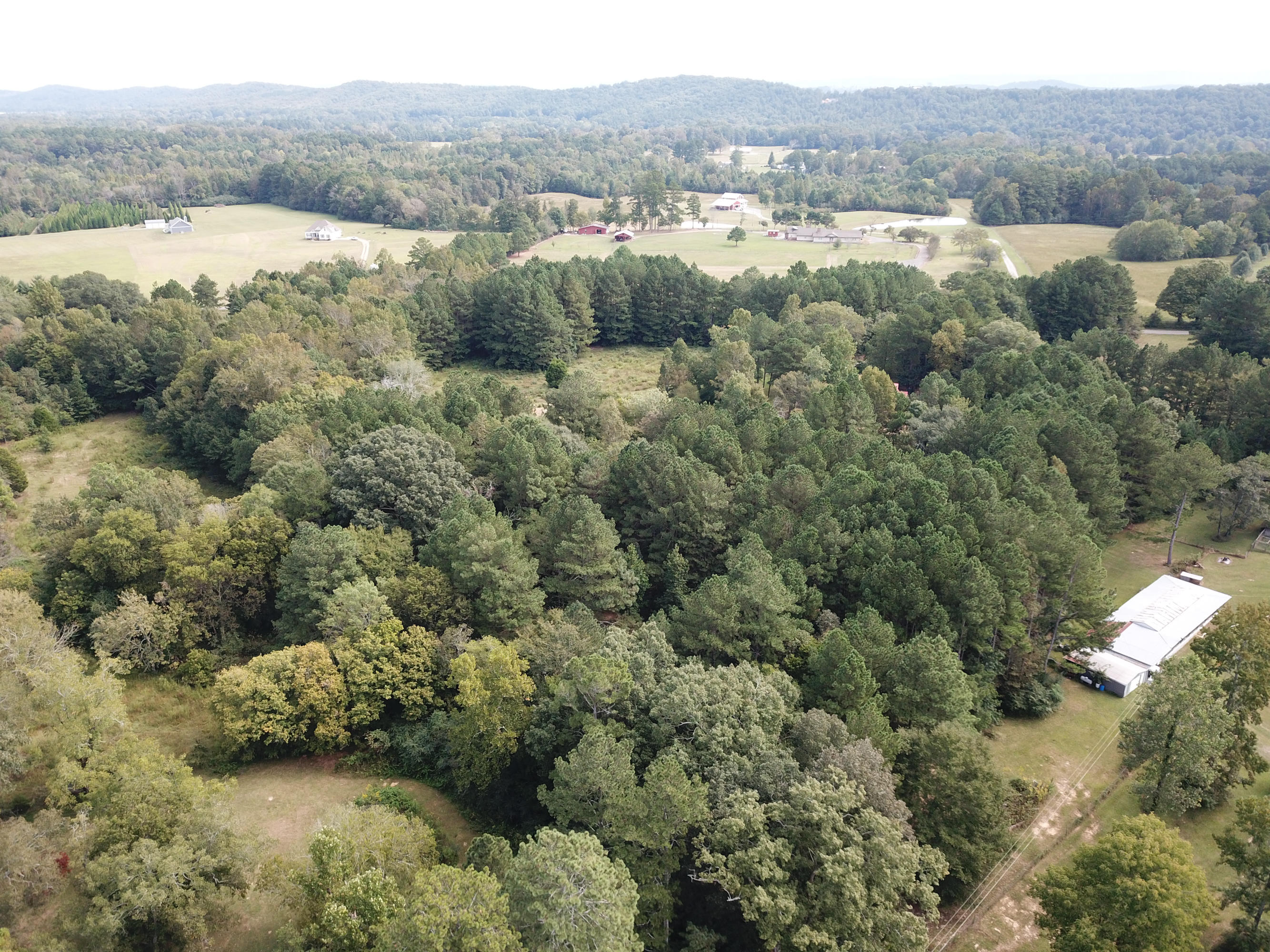 268 Homer Cagle Road LaFayette, GA 30728 - Photo 65 of 66 268 Homer Cagle Rd-67