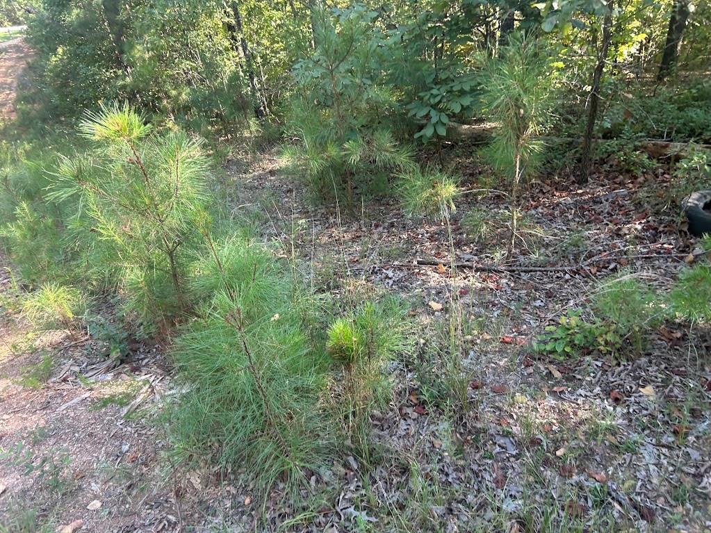 0 Springer Road Whitesburg, GA 30185 - Photo 6 of 12 Gallery Image 6