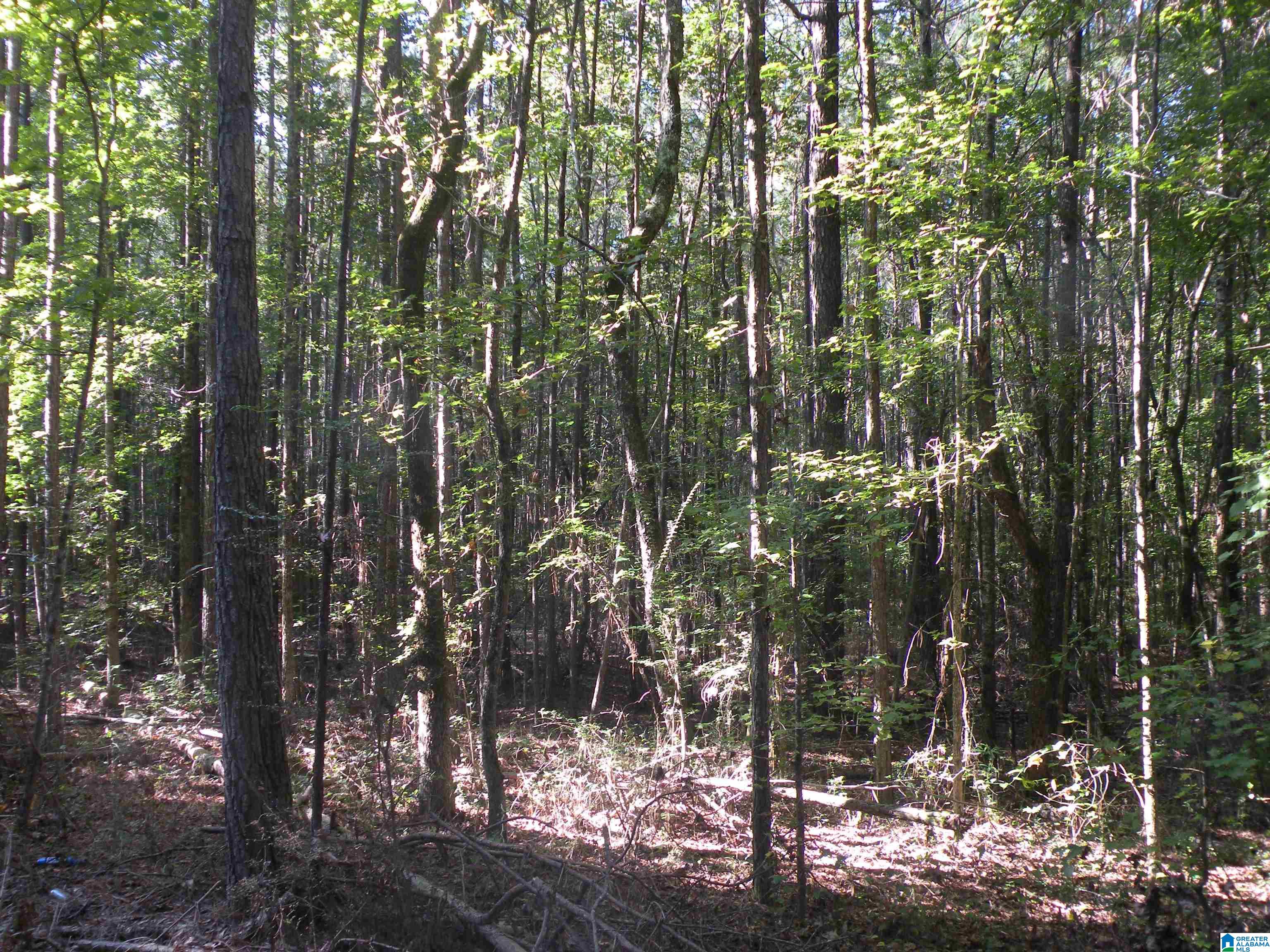 Grist Mill Road, Unit 1 Childersburg, AL 35044 - Photo 6 of 6