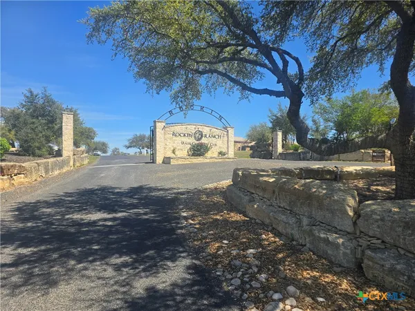 a view of backyard with tree