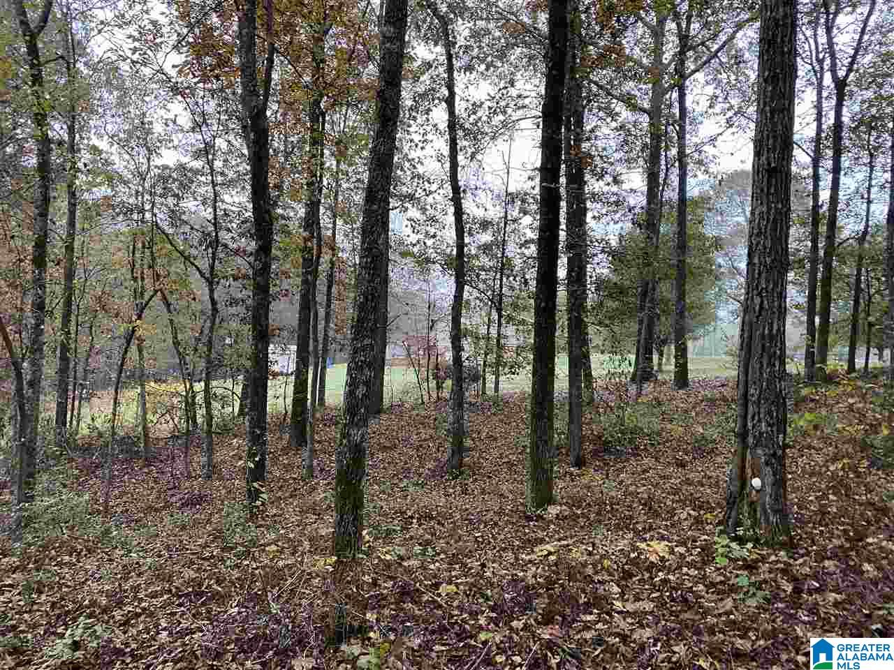 975 Deer Trace Road Pell City, AL 35125 - Photo 5 of 5
