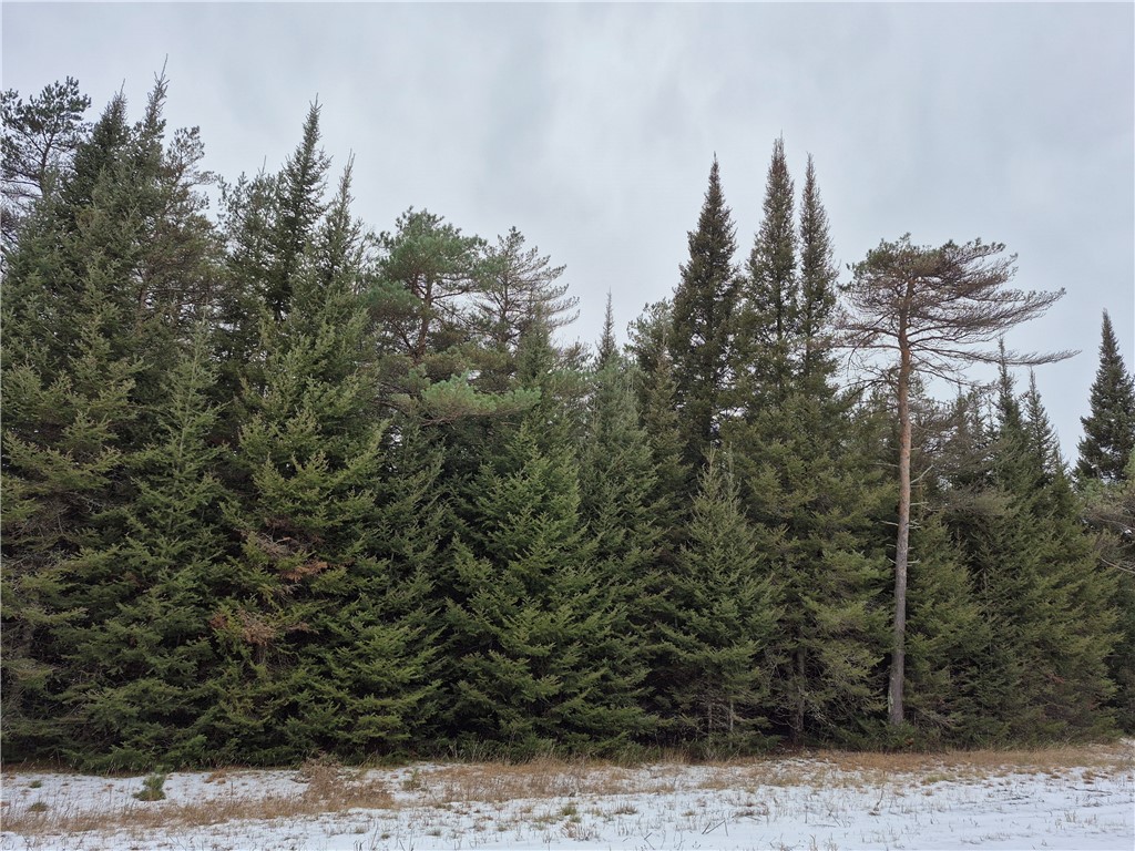 Lot 3 Autumn Moon Road Hayward, WI 54843 - Photo 1 of 1 Gallery Image 1