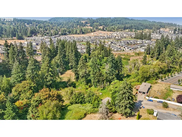 a black and white photo of a green field